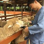 Stephen You(유승필) - Instagram Profile Picture of Stephen You(유승필) (@a4tl) on Instagram