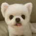 Profile Picture of Howard Woo (@howard.woo.31) on Facebook