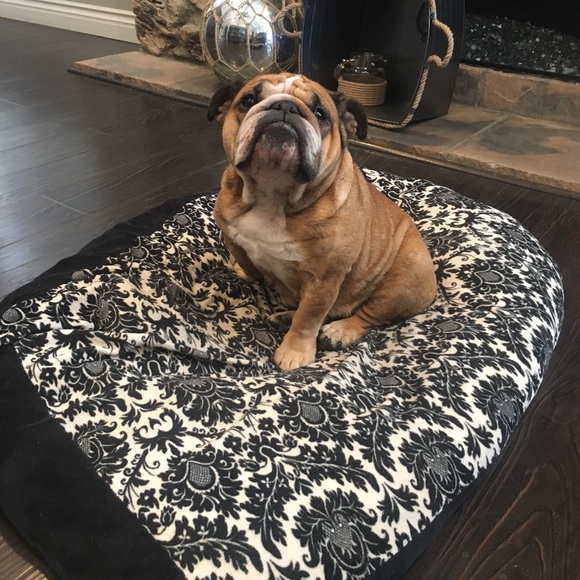 Profile Picture of Shawn H (@shawnh45) on Poshmark