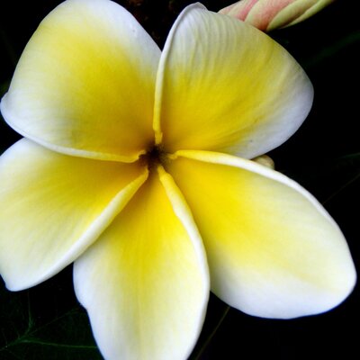 Profile Picture of Scott Sandgren (@sweden9933) on Twitter