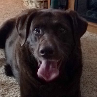 Darin Krueger - Twitter Profile Picture of Darin Krueger (@MulligansSB27) on Twitter