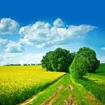 Profile Picture of Lisa Giacalone (@lisagiacalone) on Instagram