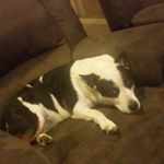 Profile Picture of Lisa (@lisagiddings78) on Instagram