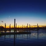 Profile Picture of Beach Life Oddities (@chad.souza0711) on Instagram