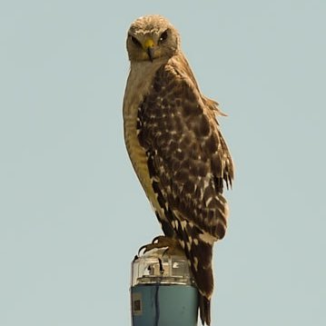 John Kersten - Twitter Profile Picture of John Kersten (@john_kersten) on Twitter