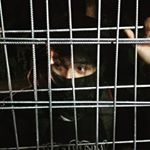 Profile Picture of eri's96 (@erimustofa96) on Instagram