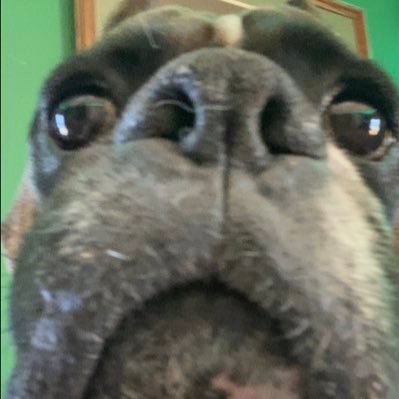 Profile Picture of Nick Fries (@fries_nick) on Twitter