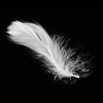 Mandy Blong Hill - Facebook Profile Picture of Mandy Blong Hill (@amanda.blong1) on Facebook