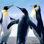 Profile Picture of Benslama (@benslam93) on Instagram