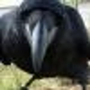 Profile Picture of Doug Slayton (@225938392) on Myspace