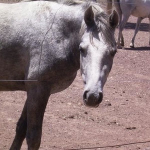 Profile Picture of Leah Jeffery (@live_to_ride_xo) on Myspace