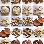 Profile Picture of Tamara Lunn (@learningchineseherbs) on Instagram