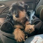 Profile Picture of Jerry Foland (@folandjerry) on Instagram