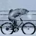 Profile Picture of rocky witzenstein (@rockywitzenstein) on Pinterest