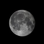 Profile Picture of Daniel Zurbrügg (@zurbrueggd) on Instagram