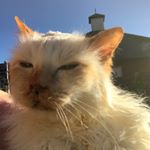 Profile Picture of Mark Lawrence Gibson (@marklawrencegibson) on Instagram