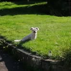 Profile Picture of Julia Biber (@Julia-Biber) on Facebook