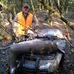 Profile Picture of Jerry Randel English (@jerry.english.186) on Facebook