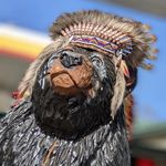 Profile Picture of Jeffery Springer (@jiggydog237) on Instagram