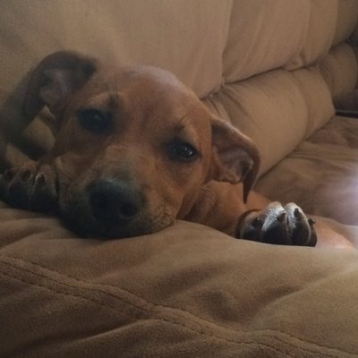 Profile Picture of Seth Lindsey (@SethLindsey) on Twitter