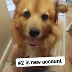 Profile Picture of Sheila Matthews (@sheila.matthews.763216) on Facebook