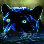 Profile Picture of Michael Henkelman (@bitpanther) on Instagram