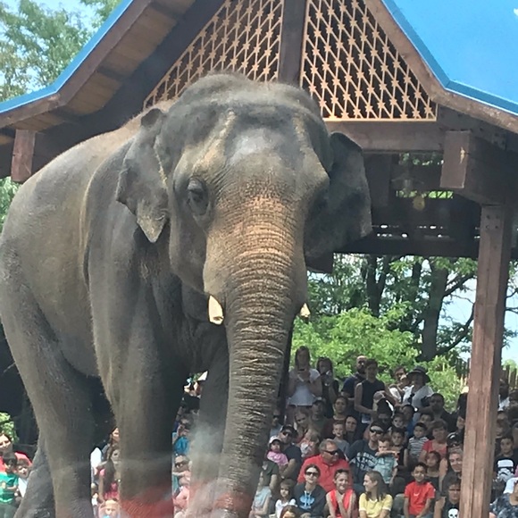 Profile Picture of Tyler Blakley (@thockeyb) on Poshmark