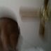 Profile Picture of Brenden Watson (@brenden.watson.77) on Facebook
