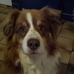 Sonja Frantzen - Instagram Profile Picture of Sonja Frantzen (@sonjafrantzen) on Instagram