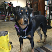 Profile Picture of Mackenzie Carroll (@mackenziecarroll366) on Youtube