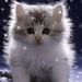 Profile Picture of Larae Wilson (@ultra101) on Pinterest