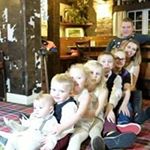 Profile Picture of Jason Linley (@jasonhlinley) on Instagram