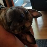 Profile Picture of Karen Zaleski-Kleiner (@kazale1030) on Instagram