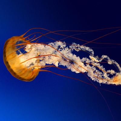 Profile Picture of Sherry Tompkins (@sherrytompkins3) on Twitter