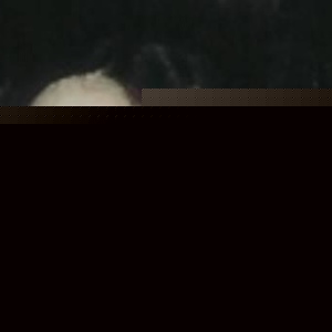 Profile Picture of Lara Ehrlich (@433124451) on Myspace