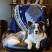 Profile Picture of Brian Wisecarver (@brianwisecarver) on Pinterest