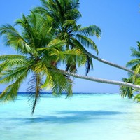 Profile Picture of Emily Michalski (@emily-michalski-1) on Quora