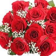 Profile Picture of Jannat Raman (@Jannat-Raman) on Facebook