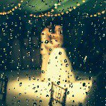 Profile Picture of Matt Dunbar (@mattdunbar5) on Instagram