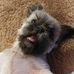 Profile Picture of Sandy J Johnson (@sandy.whitman.545) on Facebook