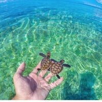 Profile Picture of Monika Wraga (@monika-wraga) on Quora