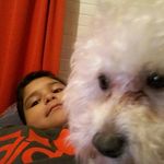 Profile Picture of Martín Baeza Lazo Ignazio (@martinbaezalazo) on Instagram