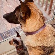 Profile Picture of Stacy Hulbert (@stacyhulbert6306) on Youtube