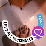 Profile Picture of Theresa Glunt (@theresa.glunt.3) on Facebook