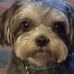 Profile Picture of Sherri McLendon (@sherri.mclendon.77) on Facebook