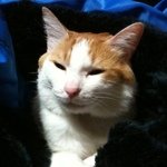 yuki dan - Instagram Profile Picture of yuki dan (@from_o2o_show) on Instagram