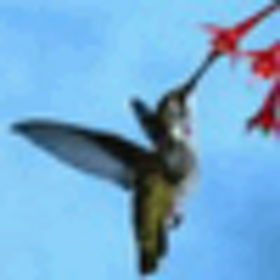 Profile Picture of Jerry Drummond (@@ivariokai) on Twitter