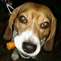 Profile Picture of Mitch Miller (@mitch-miller-38) on Quora