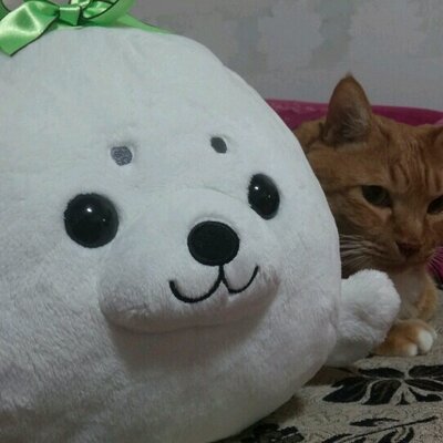 Profile Picture of Minjeong Kim (@kmj922) on Twitter