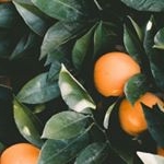 Profile Picture of 🌿 ГАРМОНИЯ ВСЕЛЕННОЙ🌿 (@julia_deepspace) on Instagram